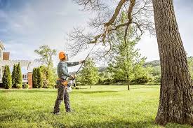 Best Seasonal Cleanup (Spring/Fall)  in Kelseyville, CA